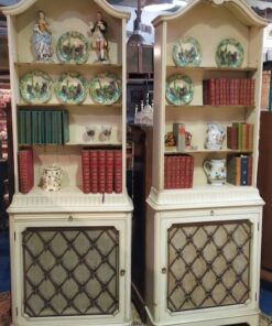 bibliotheques peintes deco