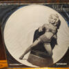 vinyle picture madonna